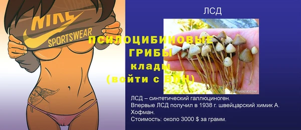 тгк Вяземский
