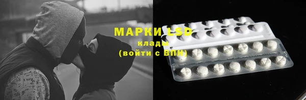 тгк Вяземский