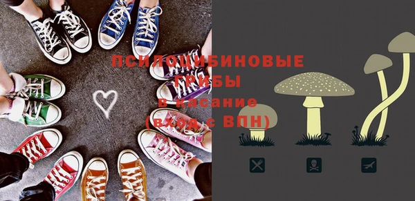 тгк Вяземский
