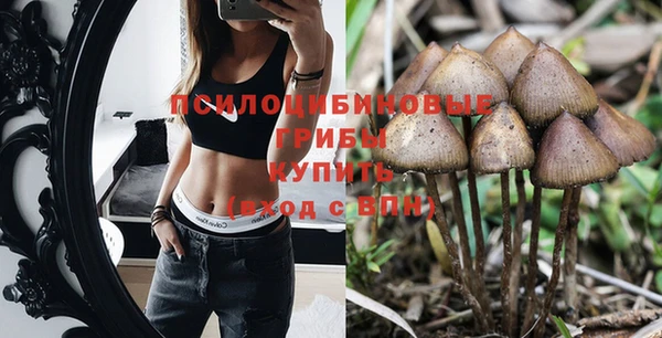 тгк Вяземский