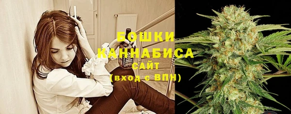дживик Семилуки
